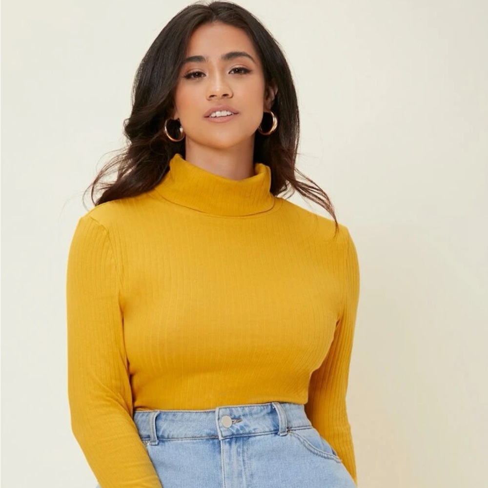 Ribbed Knit Turtleneck